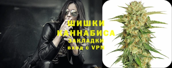 стаф Усинск