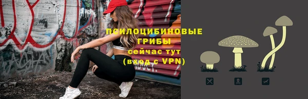 spice Армянск