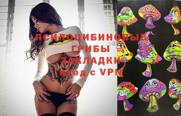ПСИЛОЦИБИНОВЫЕ ГРИБЫ Усмань