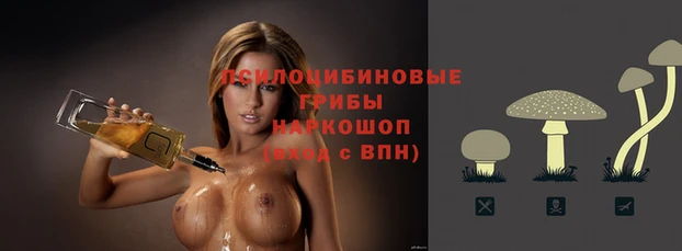 ПСИЛОЦИБИНОВЫЕ ГРИБЫ Усмань