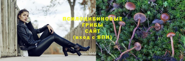 МДПВ Усолье-Сибирское