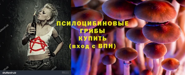 ПСИЛОЦИБИНОВЫЕ ГРИБЫ Усмань