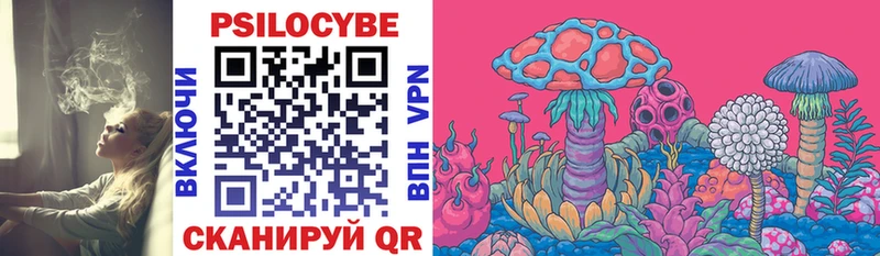 дарк нет наркотические препараты OMG ТОР Псилоцибиновые грибы Cubensis Черепаново цены наркотик